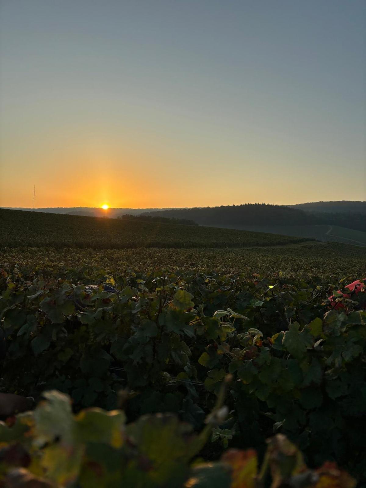 La Galipette, Charmant Chalet En Champagne Fleury-la-Riviere Buitenkant foto